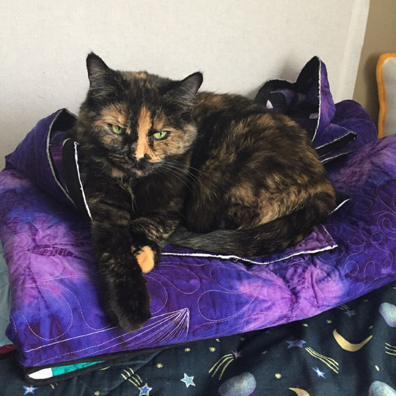 A tortoiseshell cat named Bailey is curled up for a nap on a folded quilt with purple tie dye backing. The edges of the quilt are not yet bound.